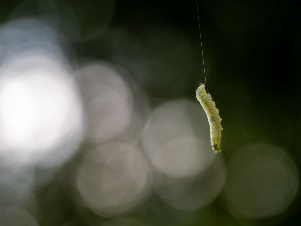 Photograph by Ирина Протченко