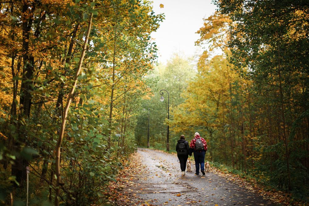 Photograph by Настасья Андреевна
