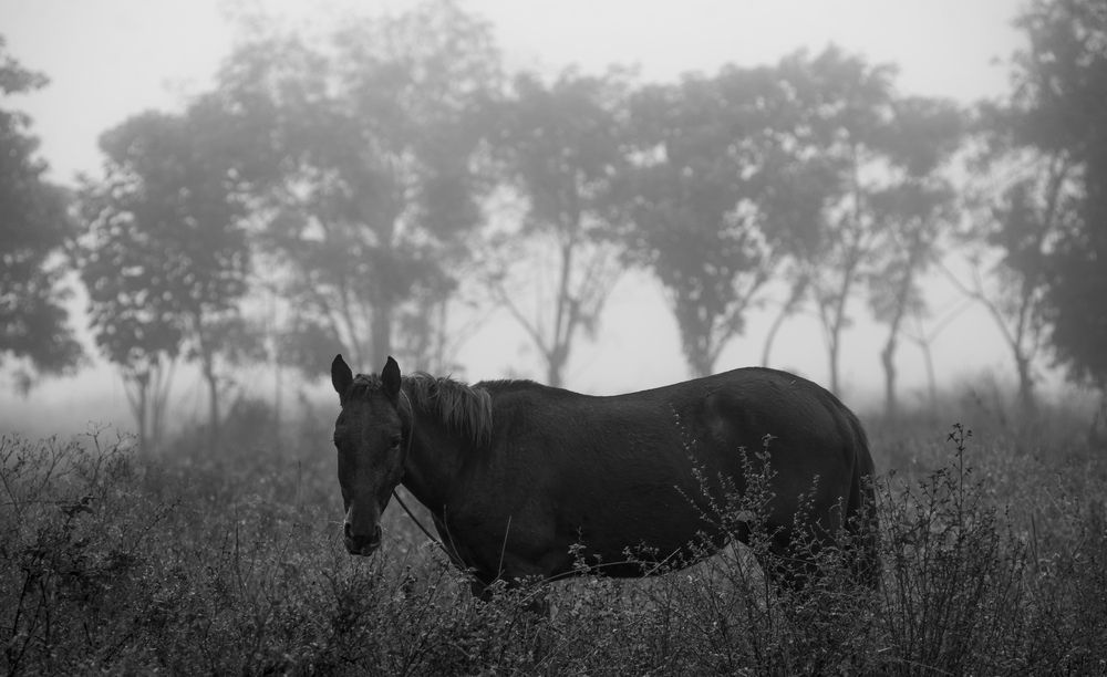 Photograph by Damian Pérez