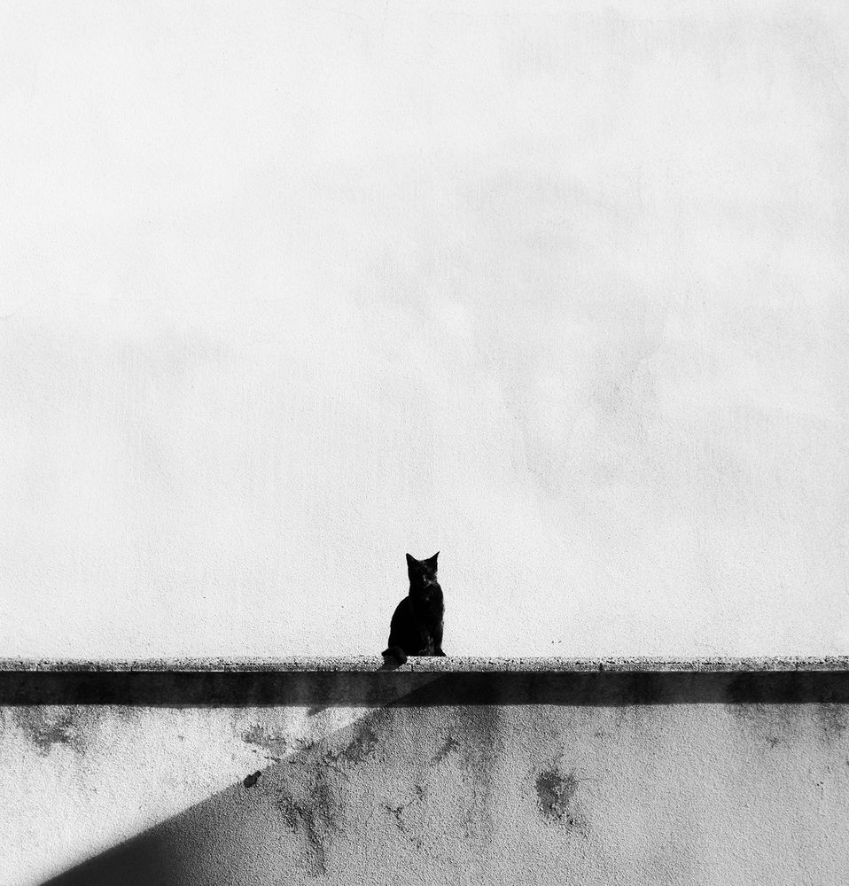 Photograph by hasan sorena jouri