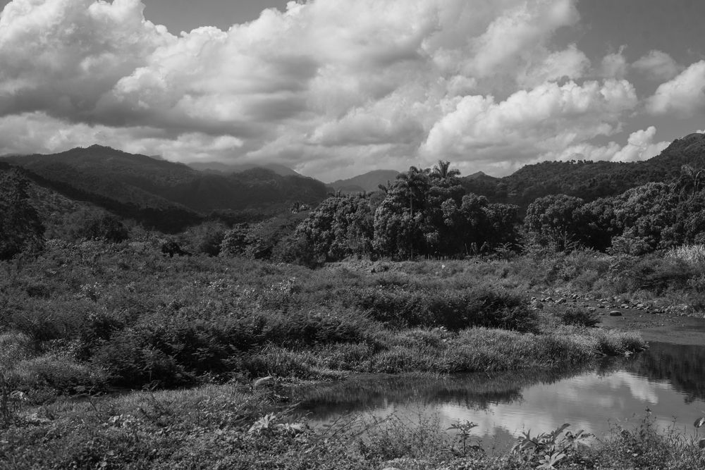 Photograph by Damian Pérez