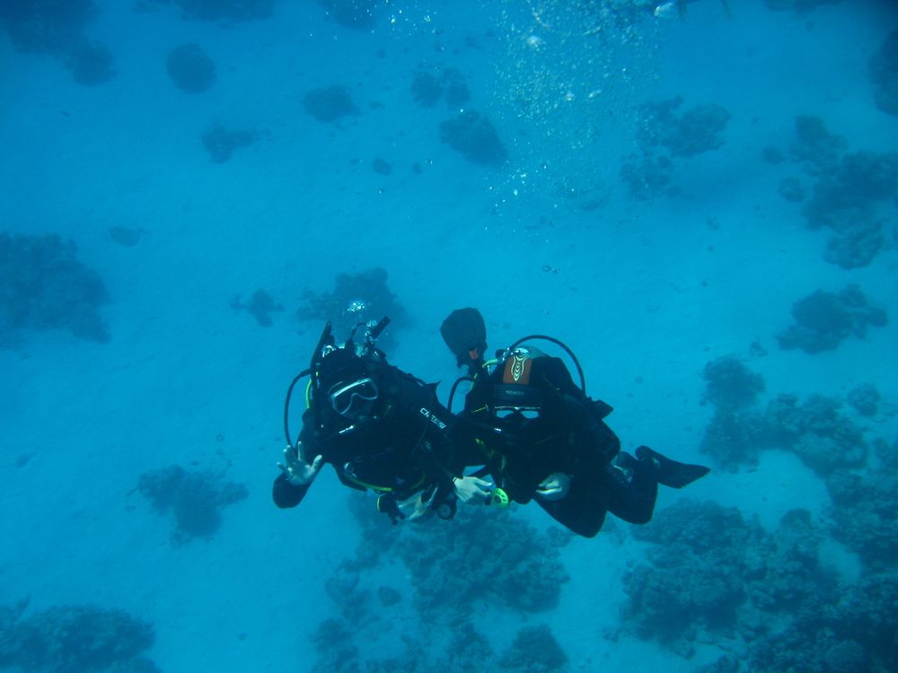 Photograph by Светлана Стрельцова