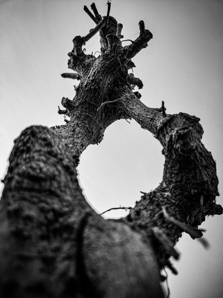 ALL THAT REMAINS