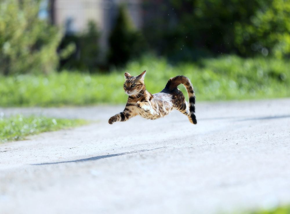 Photograph by Андрей Автухов