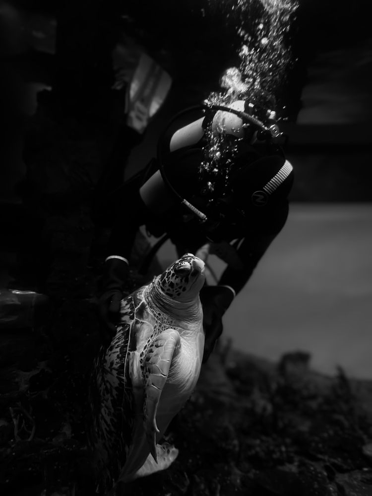 Photograph by Константин Шипицын