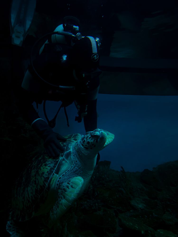 Photograph by Константин Шипицын