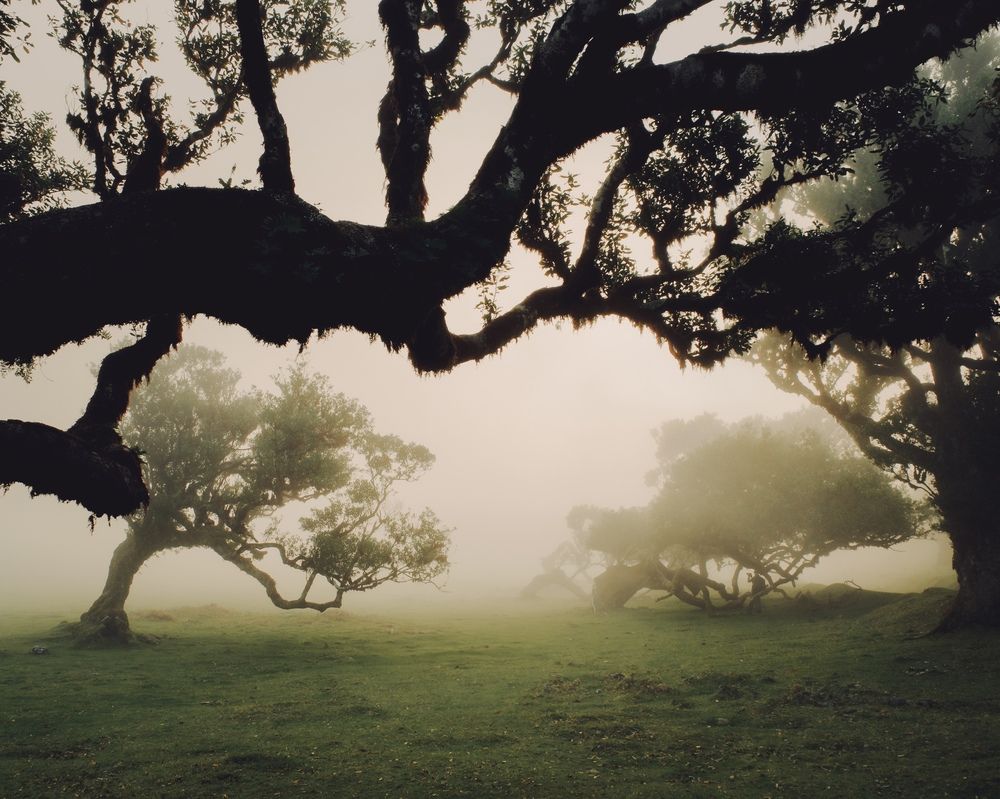 Фотография автора Yana Bobrova