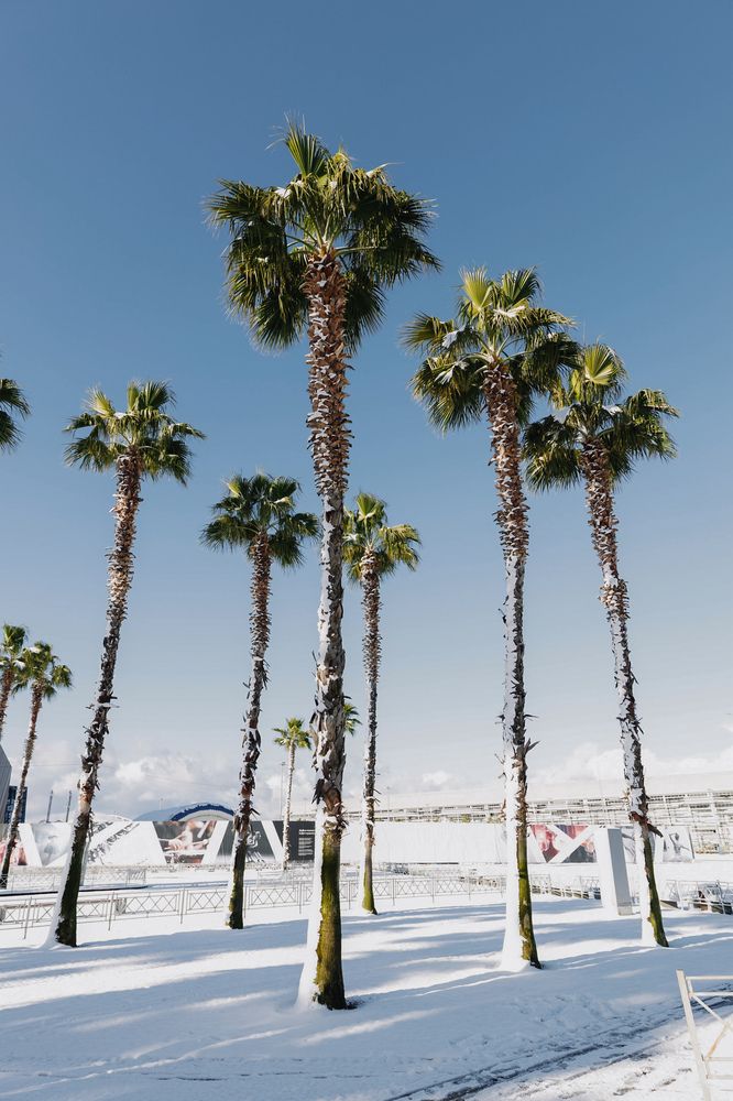 Фотография автора Яна Велес