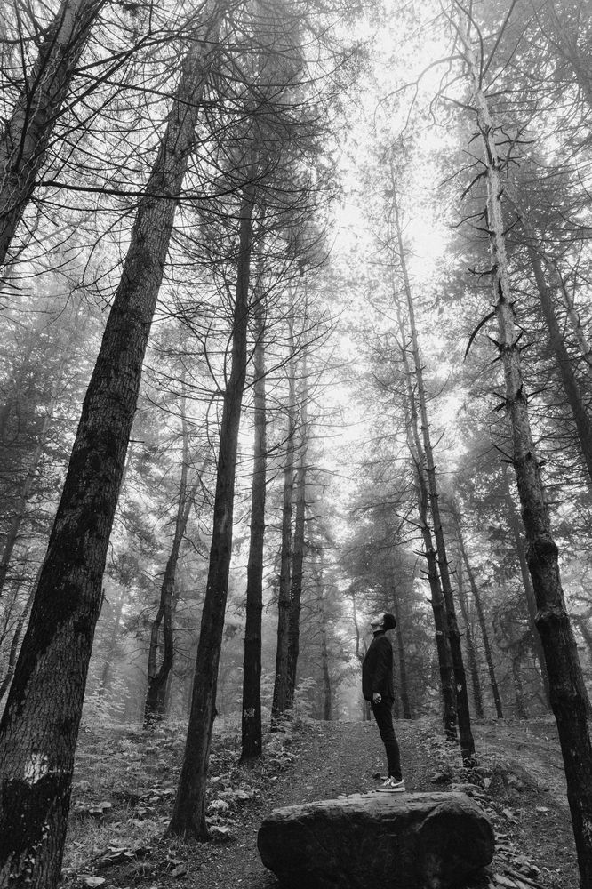 Photograph by Яна Велес