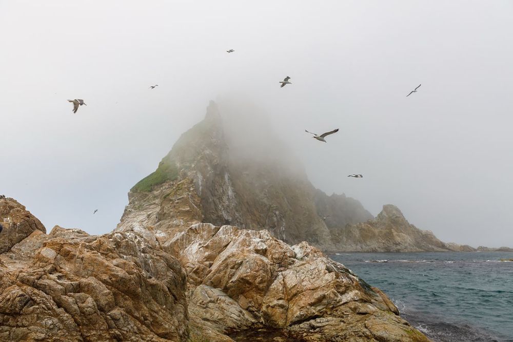 Photograph by Яна Велес