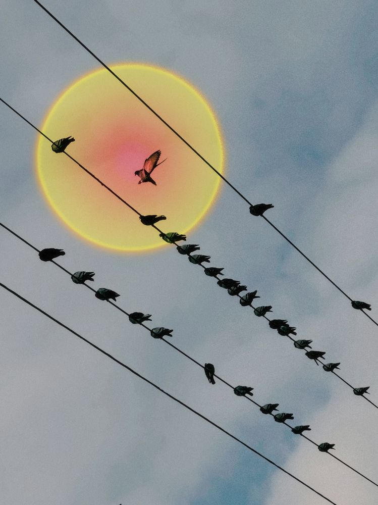 Photograph by Yana Bobrova