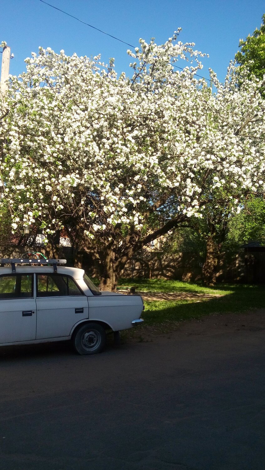 Photo #12162098