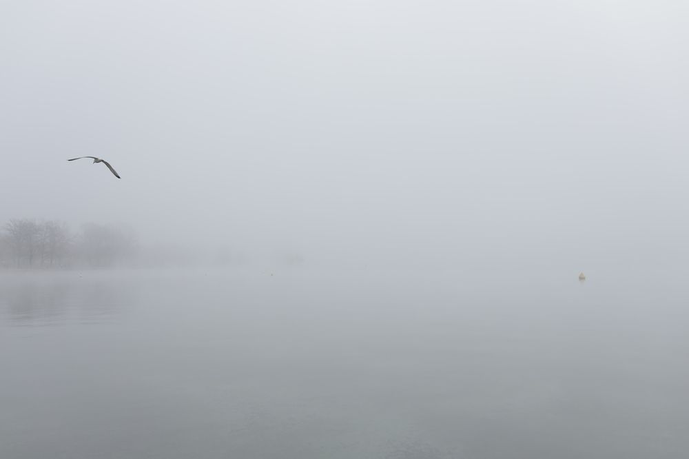 Photograph by Ирина Виноградова