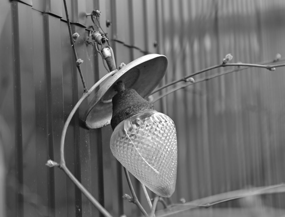 Photograph by Константин