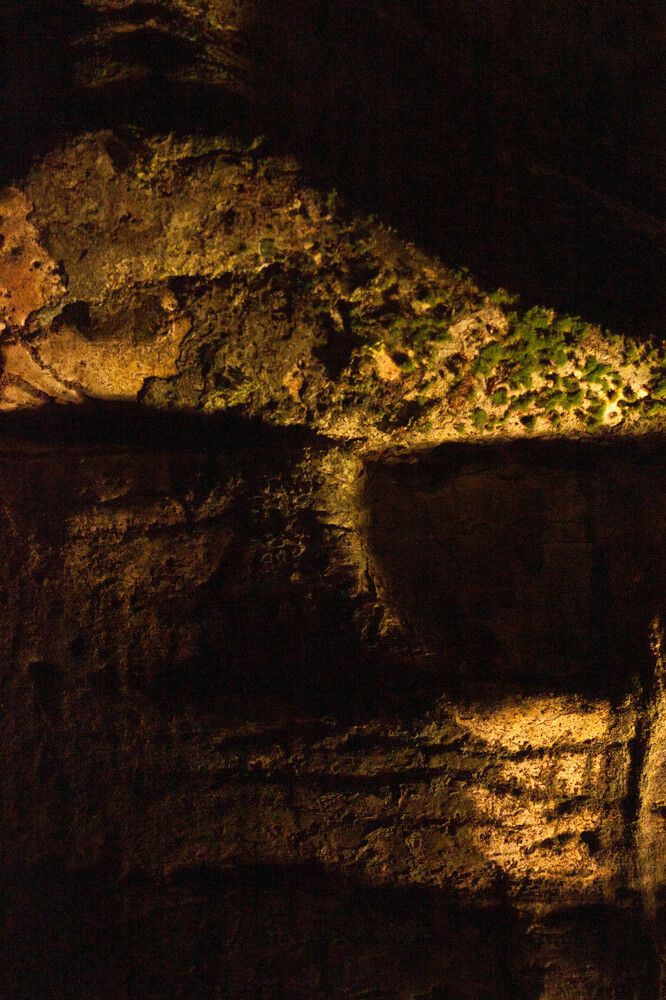 Photograph by Елена Казаренко