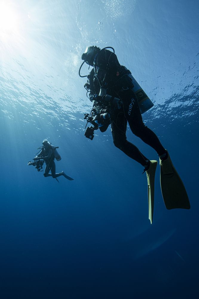 Photograph by Kurashima Daisuke