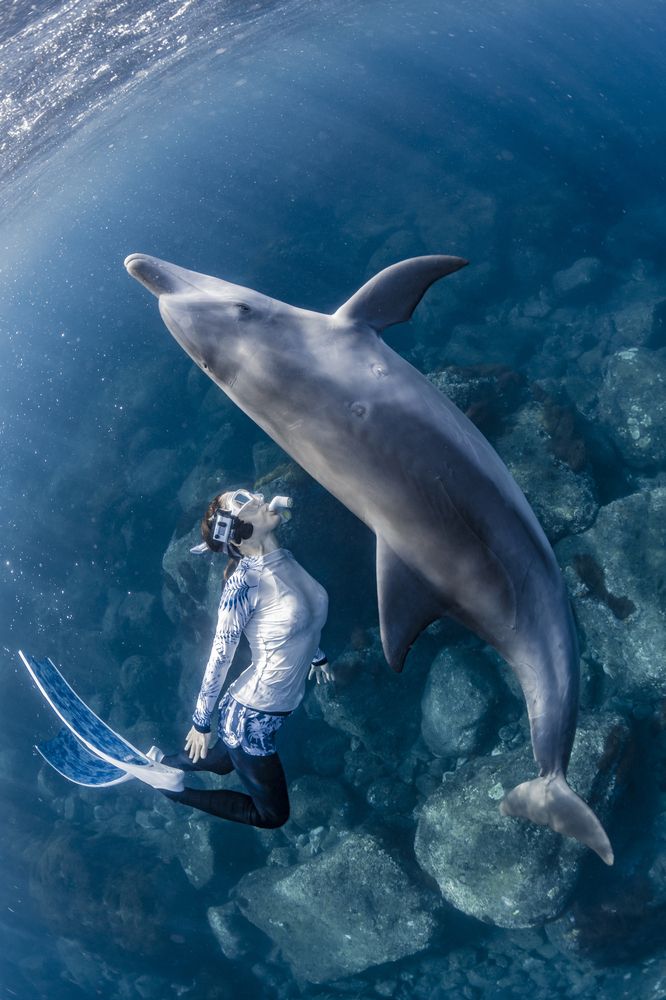 Photograph by Kurashima Daisuke