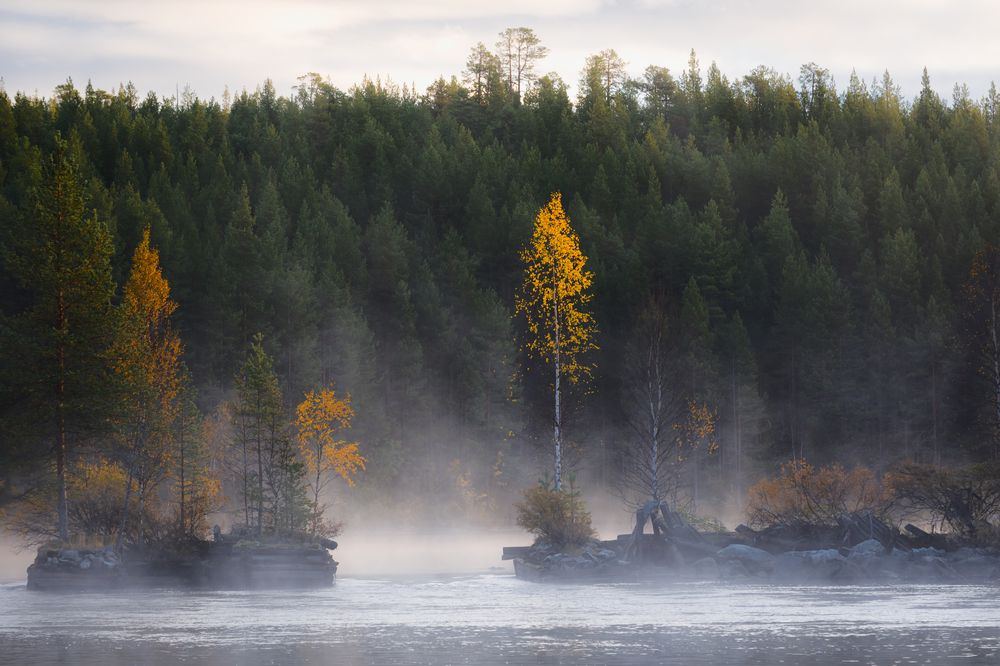 Photograph by Мария Казакова