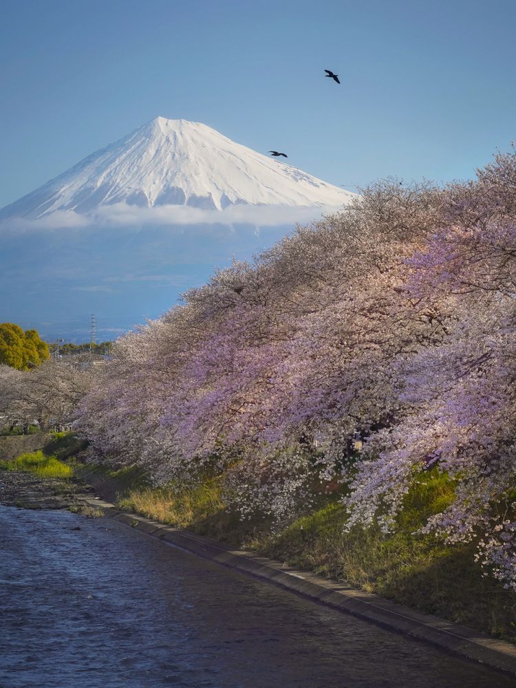 Фотография автора Henri Fitriadi