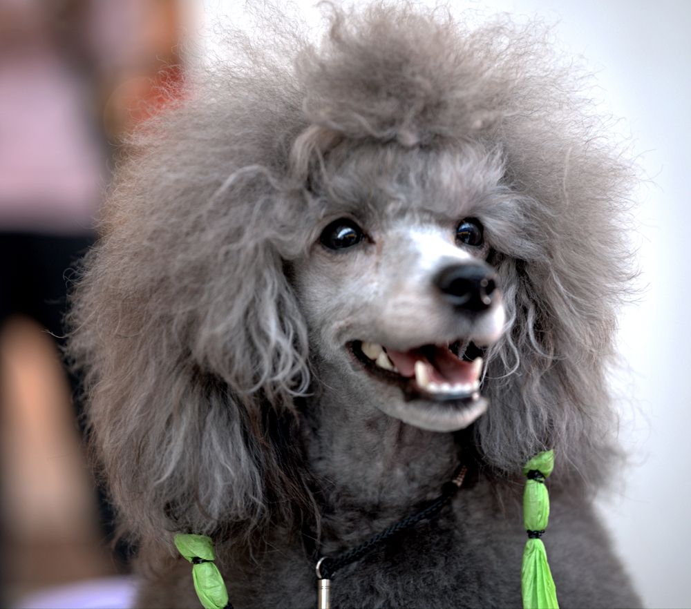 Photograph by Михаил Король