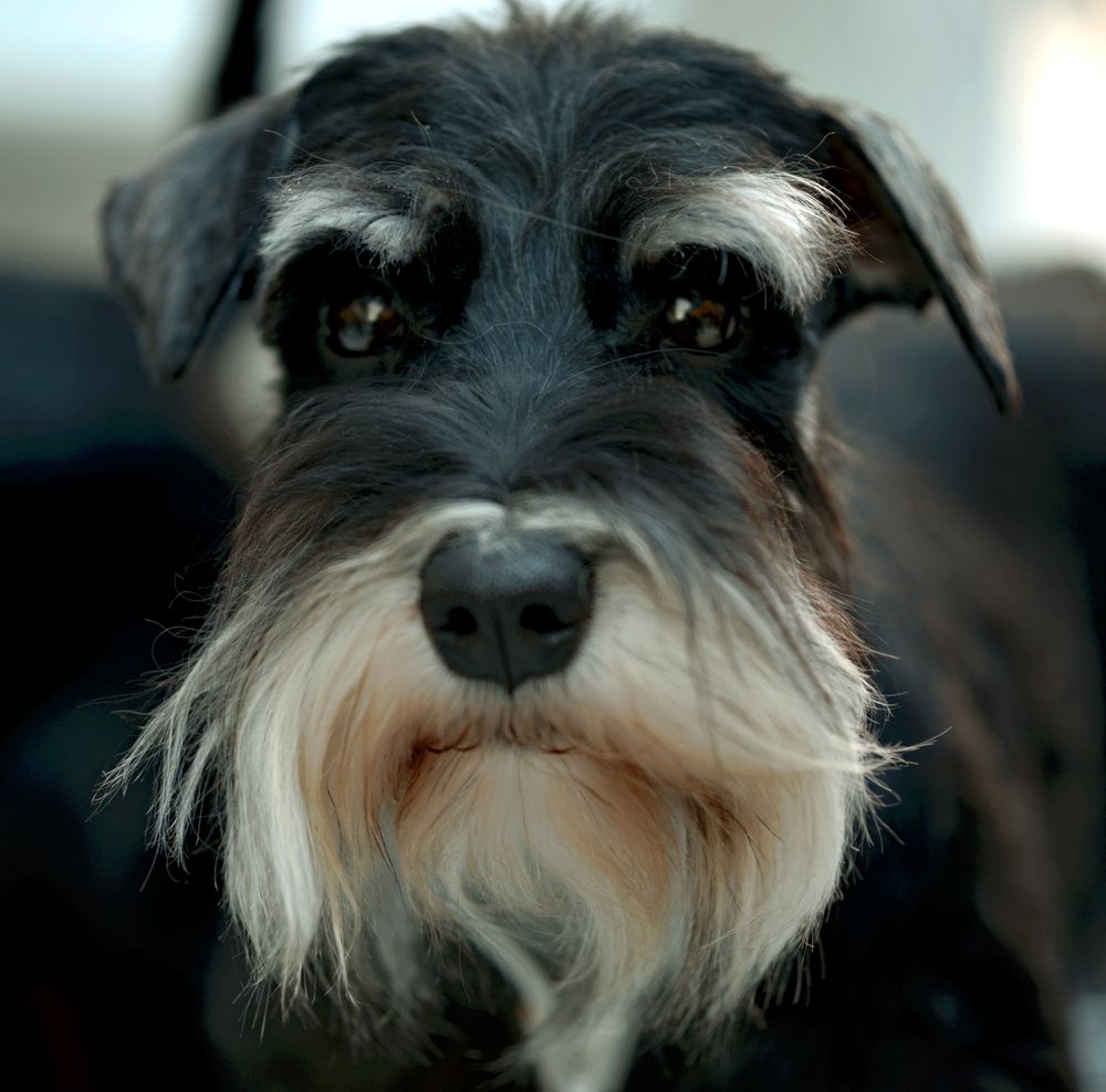 Photograph by Михаил Король