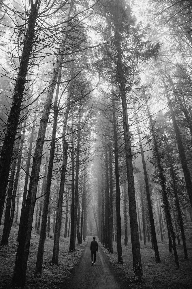 Photograph by YANA VELES