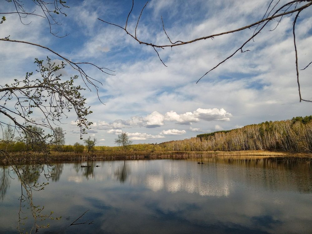 Photo #12162844