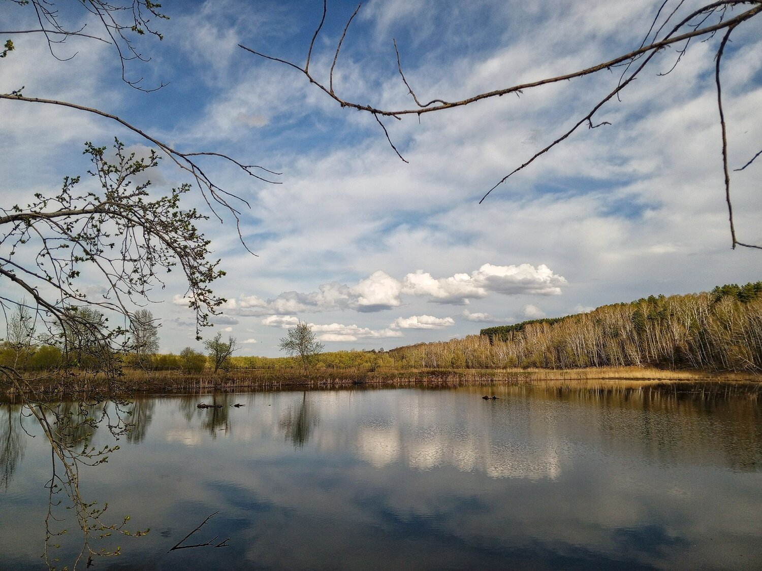Photo #12162844