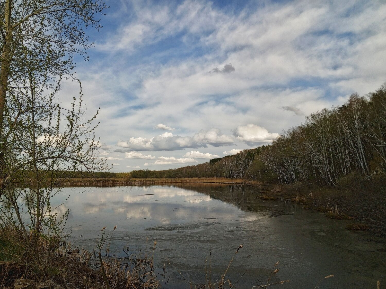Photo #12162848