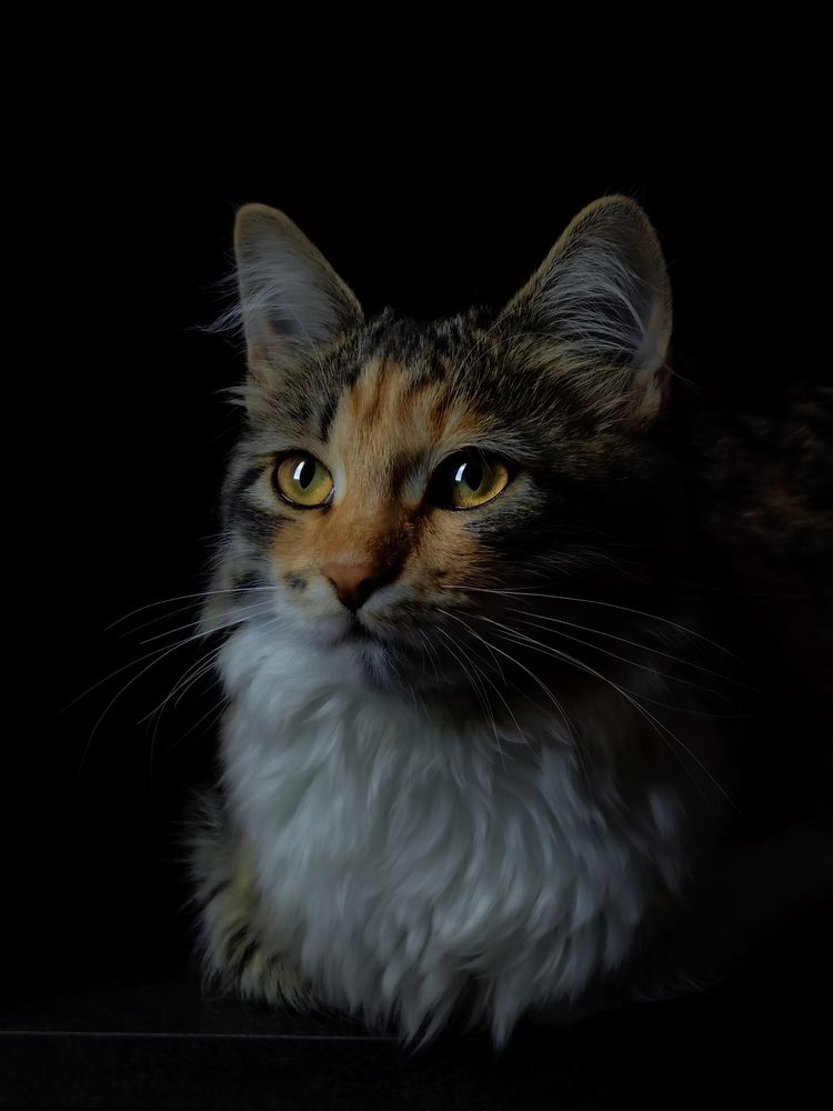 Photograph by Yuliya Karpova