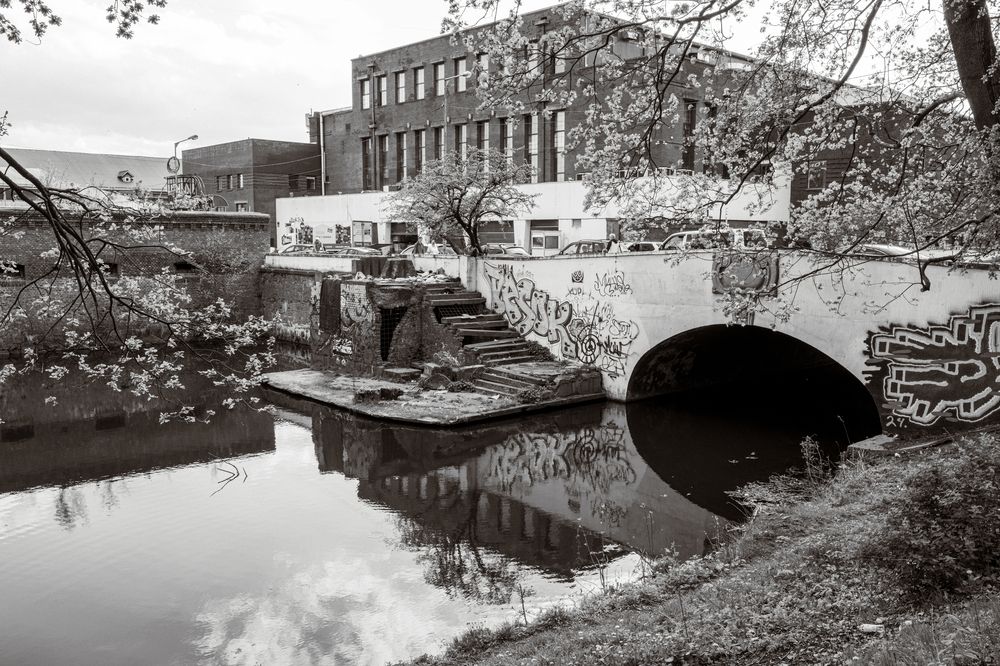 Фотография автора Борунов Константин