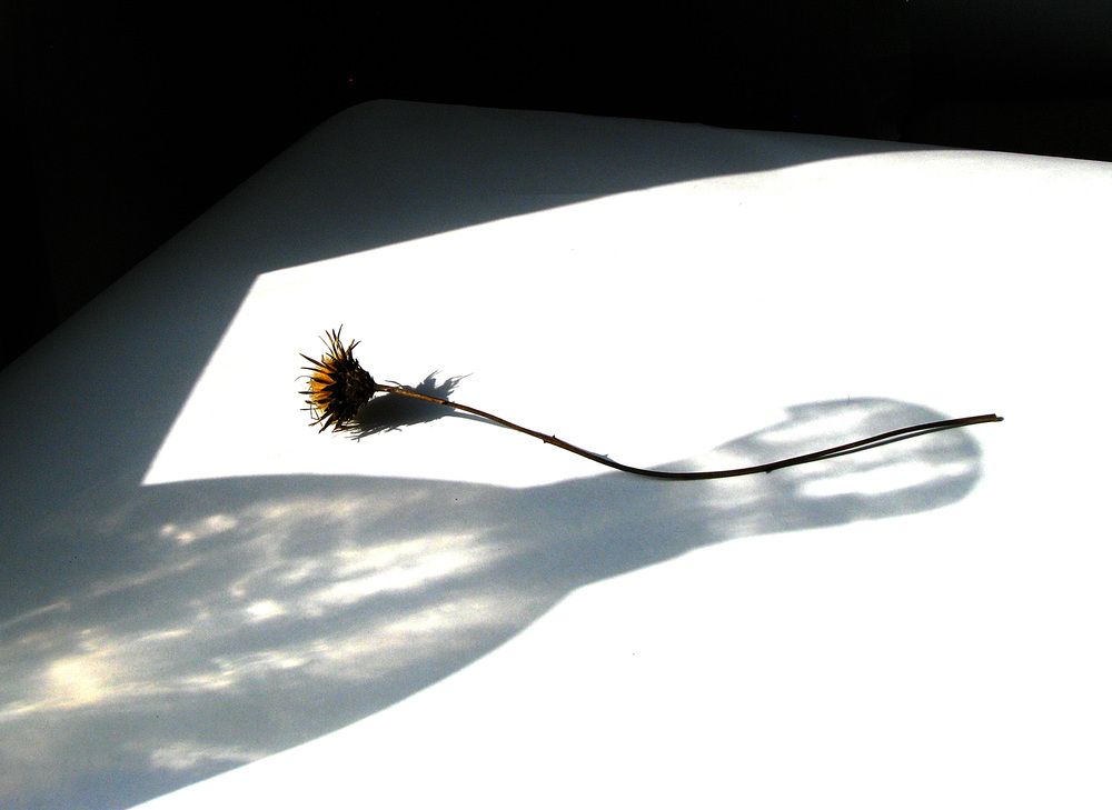 Photograph by Лада Кляузина