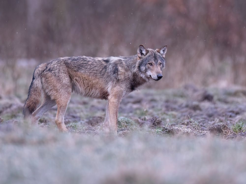 Photograph by Hubert Mielnik