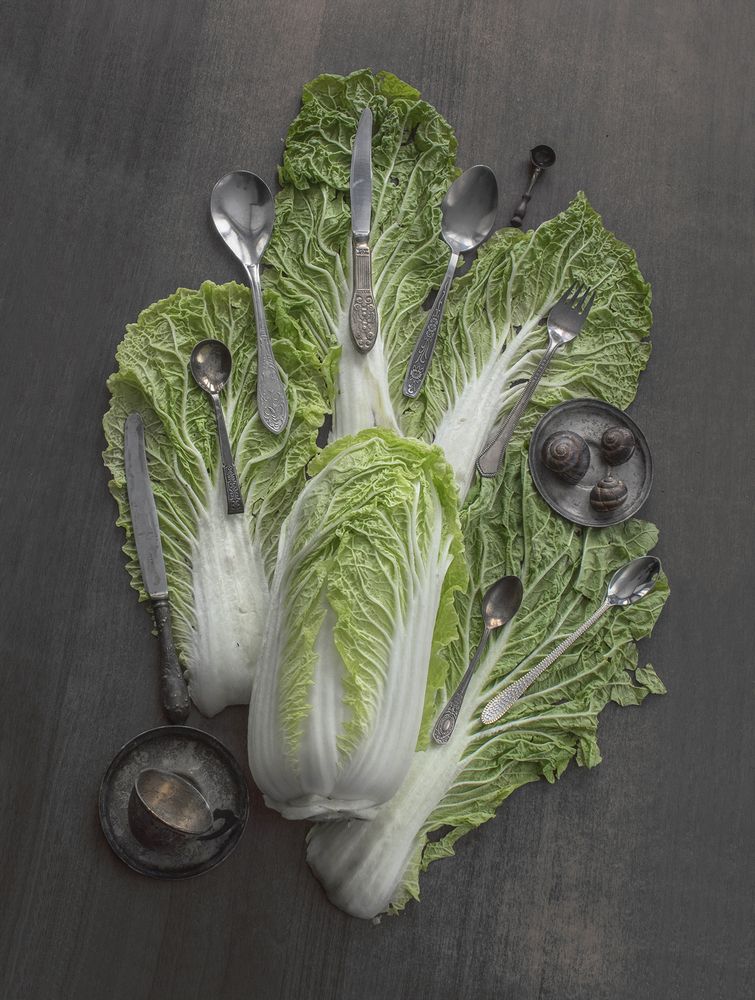 Фотография автора Шипунова Ирина