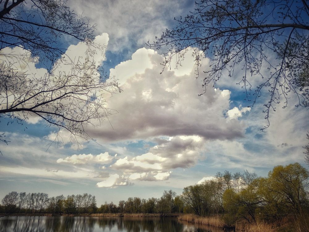 Photo #12163174