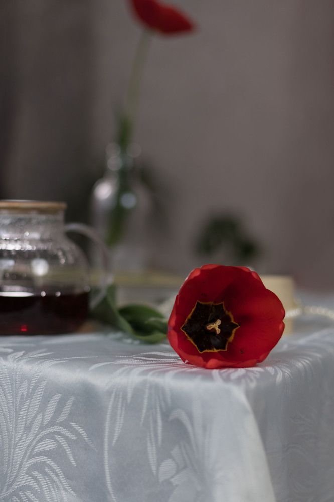 Photograph by Инна Леонтьева