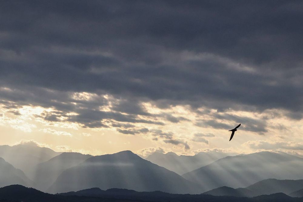 Photograph by VELES YANA