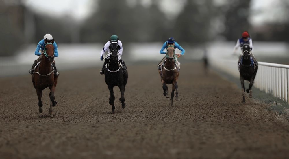 Photograph by Татьяна Полоцкая