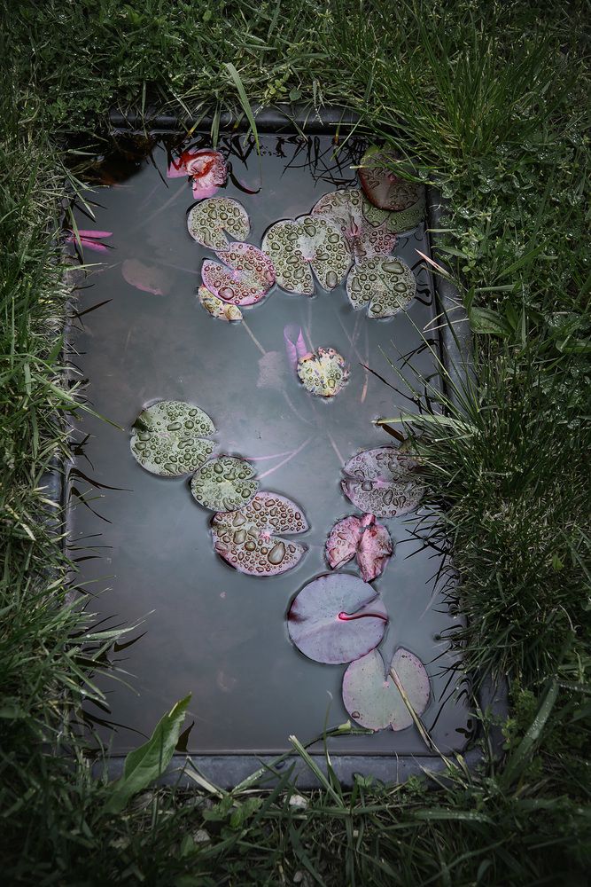 Photograph by Юлия Григорьева