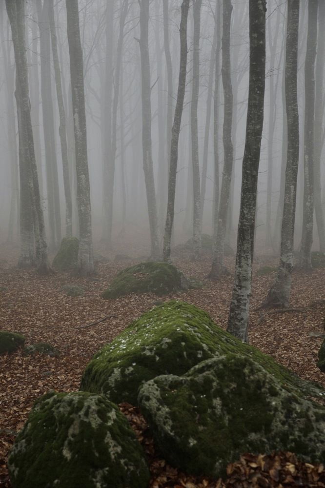 Photograph by Одаренко Ольга