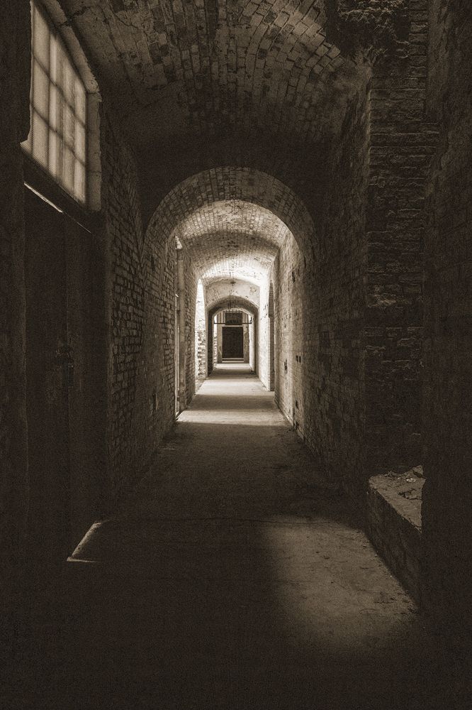 Фотография автора Борунов Константин