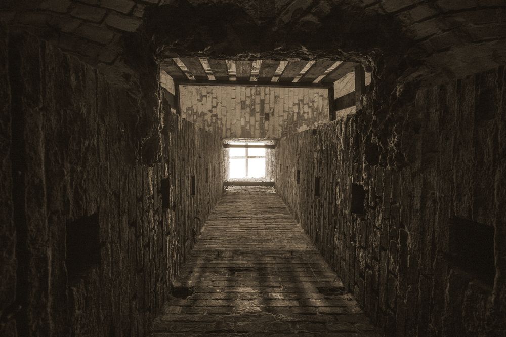 Фотография автора Борунов Константин