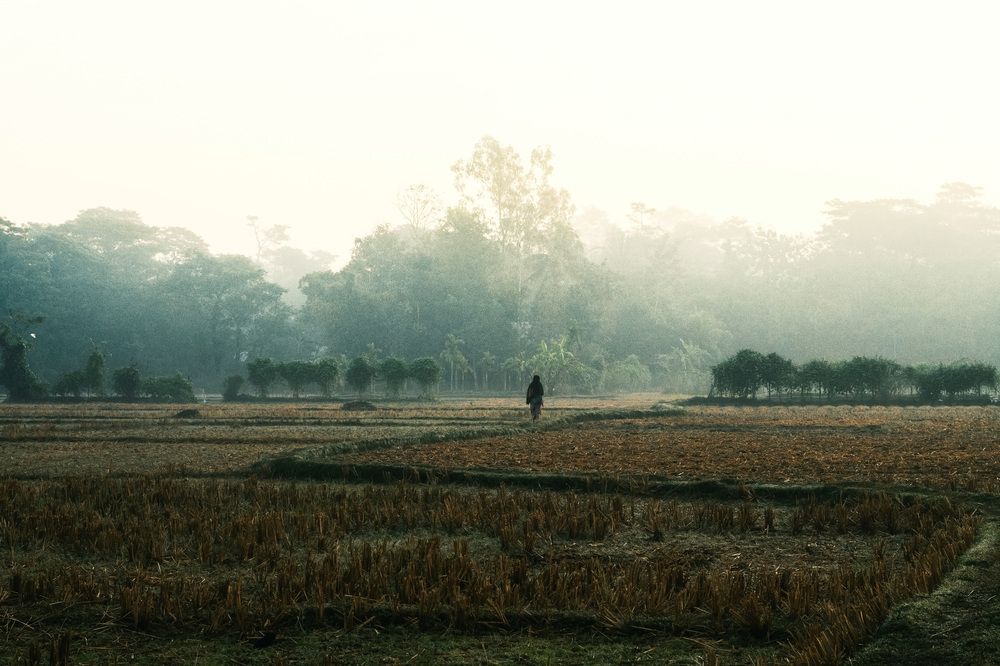 Photograph by LIMON DEY