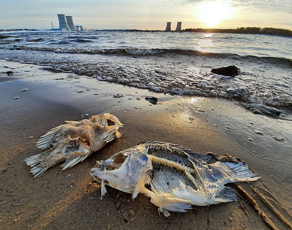 Photograph by Александр Лазебник