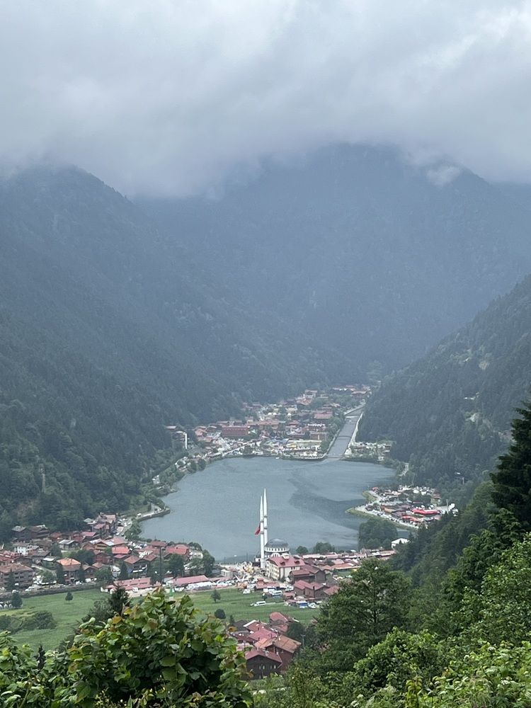 Фотография автора Walaa Ibrahim