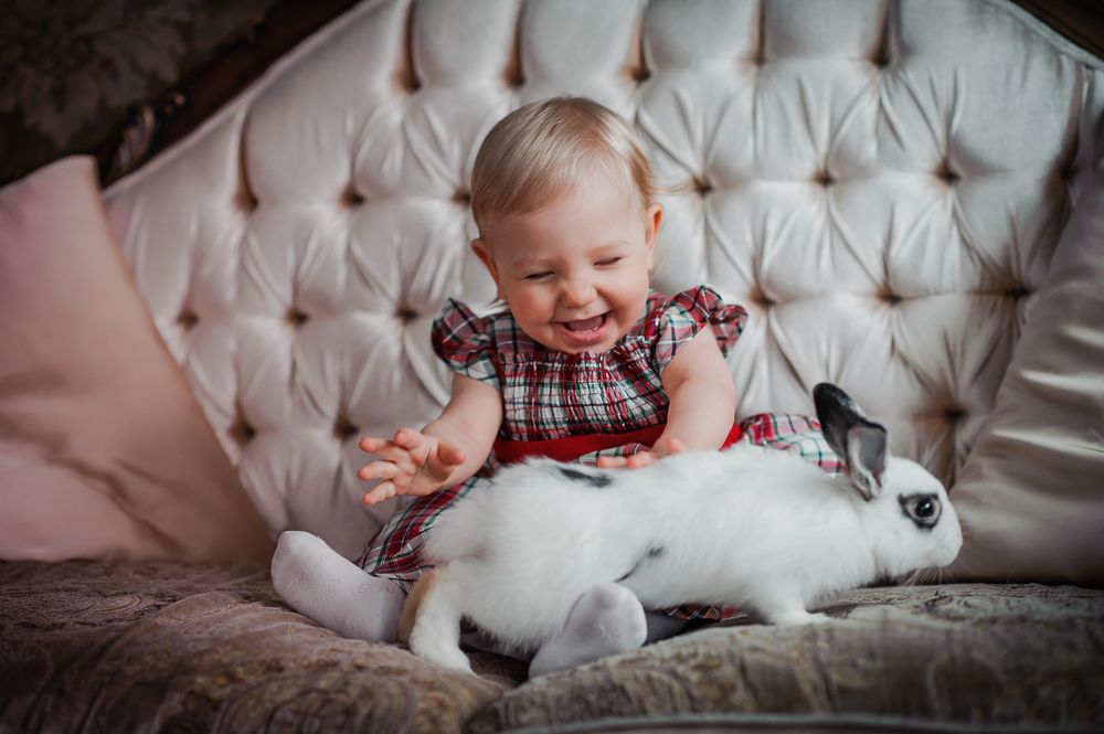 Фотография автора Сафонова Людмила