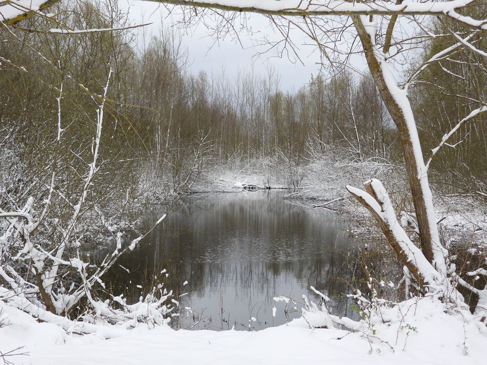 Photograph by Владимир Джерихов