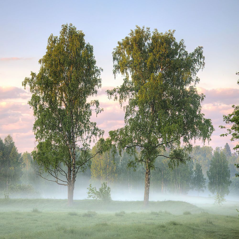 Photograph by Юрий Спасенников