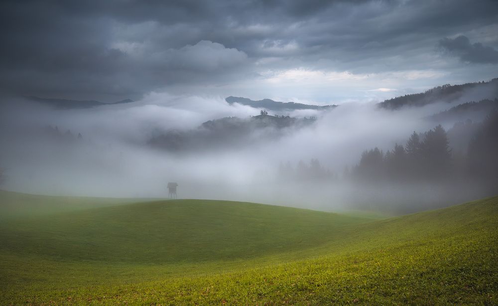 Фотография автора Karádi Zita