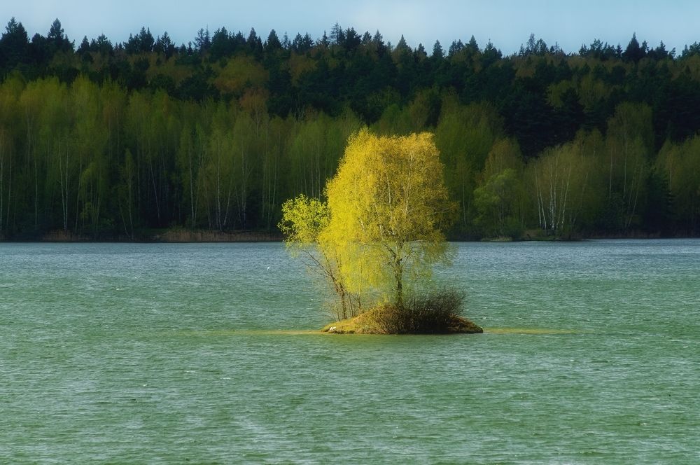 Photograph by Михаил Косолапов